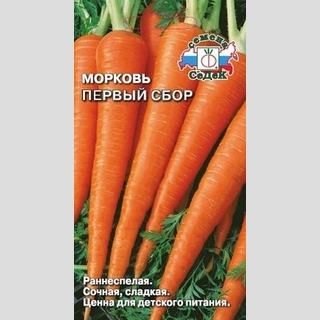 Морковь Первый сбор - Семена Тут