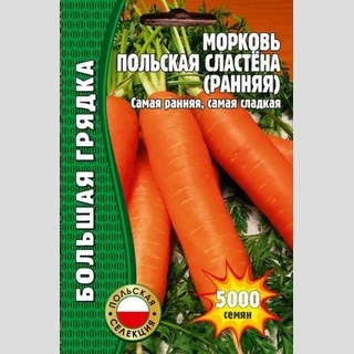 Морковь Польская Сластена Ранняя (большой пакет) - Семена Тут