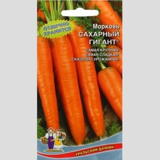 Морковь Сахарный гигант® - Семена Тут
