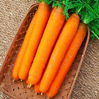 Морковь Самсон (лента) - Семена Тут