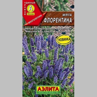 Мята Флорентина - Семена Тут