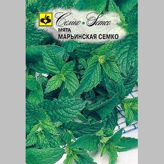 Мята Марьинская Семко (перечная) - Семена Тут
