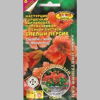 Настурция Спелый персик - Семена Тут