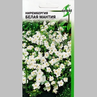 Нирембергия Белая мантия - Семена Тут