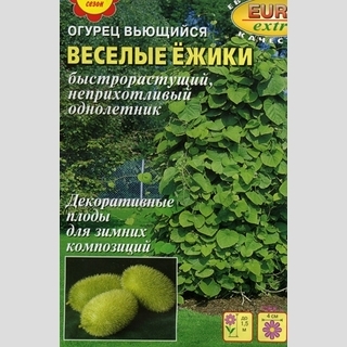Огурец Весёлые ёжики (декоративный) - Семена Тут