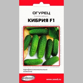 Огурец Кибрия F1 - Семена Тут