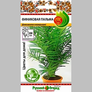 Финиковая пальма - Семена Тут