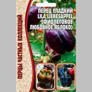 Перец Фиолетовое яблоко любви (Lila Liebesapfel) (большой пакет) - Семена Тут