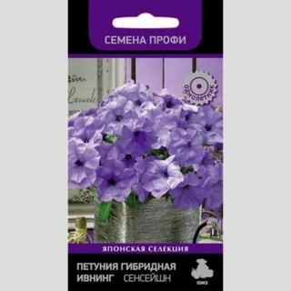 Петуния Ивнинг Сенсейшн F1 (Семена Профи) - Семена Тут
