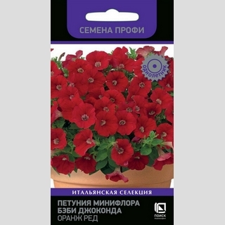 Петуния Бэби Джоконда Оранж Ред (Семена Профи) - Семена Тут