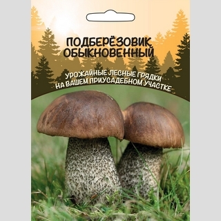 Грибы - Подберезовик Обыкновенный (мицелий) 30мл (большой пакет) - Семена Тут