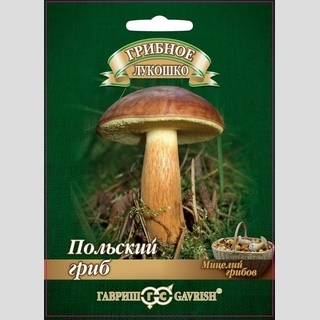 Грибы - Польский гриб на зерновом субстрате (мицелий) 15мл (большой пакет) - Семена Тут