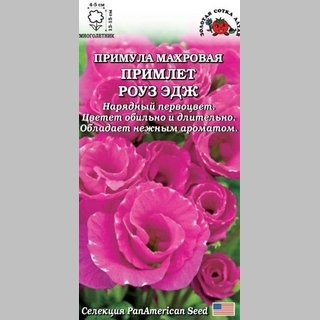 Примула Примлет Роуз Эдж - Семена Тут