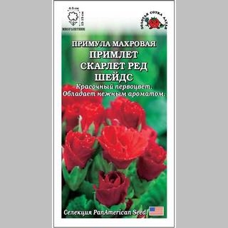 Примула Примлет Скарлетт Ред Шейдс - Семена Тут