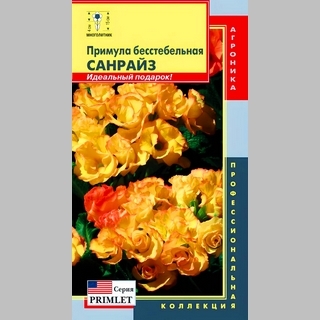 Примула Санрайз бесстебельная (серия Primlet) - Семена Тут