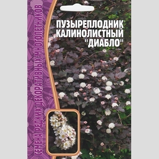 Пузыреплодник калинолистный Диабло (большой пакет) - Семена Тут