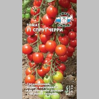 Томат Спрут черри F1 - Семена Тут