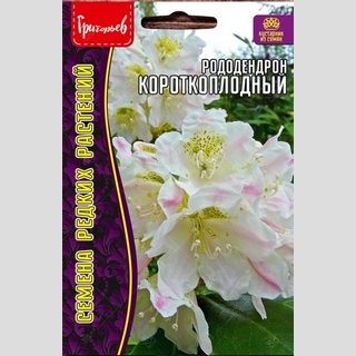 Рододендрон Короткоплодный (большой пакет) - Семена Тут