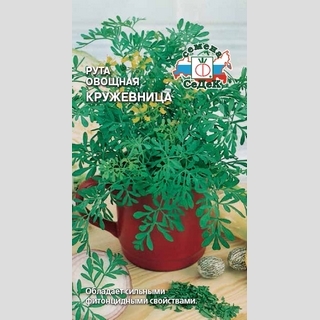 Рута Кружевница (овощная) - Семена Тут