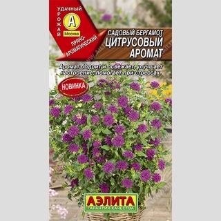 Садовый Бергамот Цитрусовый аромат - Семена Тут