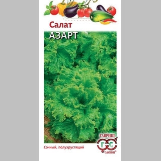 Салат Азарт листовой - Семена Тут