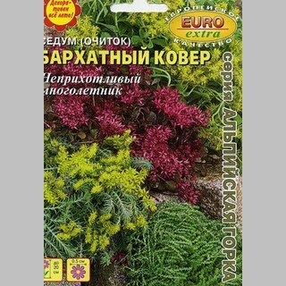 Седум Бархатный ковёр (Очиток) - Семена Тут