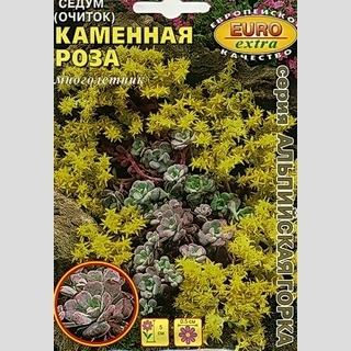 Седум Каменная роза (очиток) - Семена Тут