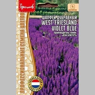 Шалфей West-Friesland Violet Blue (большой пакет) - Семена Тут