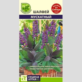 Шалфей Мускатный - Семена Тут
