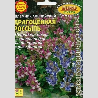 Шлемник Драгоценная россыпь альпийский - Семена Тут