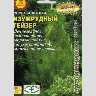 Сосна Изумрудный гейзер болотная (большой пакет) - Семена Тут