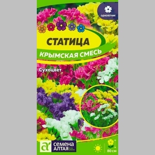 Статица Крымская смесь - Семена Тут