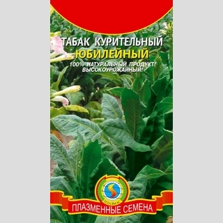Табак Юбилейный (курительный) - Семена Тут