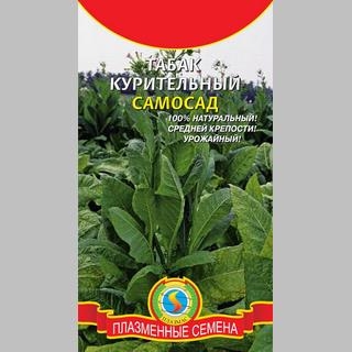 Табак Самосад (курительный) - Семена Тут