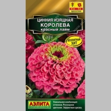 Цинния Королева Красный лайм - Семена Тут