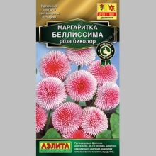 Маргаритка Беллиссима Роза Биколор - Семена Тут