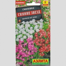 Смолевка Сияние звезд смесь - Семена Тут