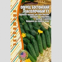 Огурец Бостонский Засолочный F1 (Boston Pickling) (большой пакет) - Семена Тут