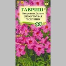 Инкарвиллея Делавея Зимостойкая глоксиния - Семена Тут