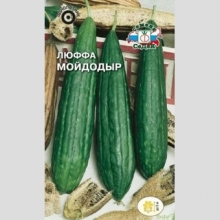 Люффа Мочалка Мойдодыр - Семена Тут