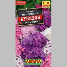 Флокс Купидон смесь (метельчатый) - Семена Тут