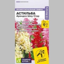 Астильба Шоу Стар (Арендса) - Семена Тут