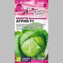 Капуста Атрия F1 - Семена Тут