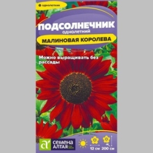 Подсолнечник Малиновая Королева - Семена Тут
