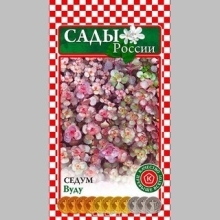 Седум Вуду - Семена Тут