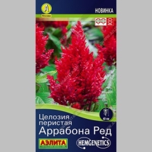 Целозия Аррабона Ред (перистая) - Семена Тут