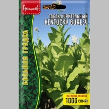 Табак Kentucky Burley курительный (большой пакет) - Семена Тут