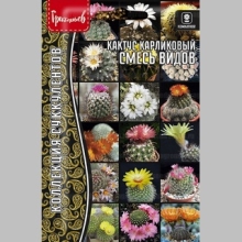 Кактус карликовый Смесь Видов (большой пакет) - Семена Тут