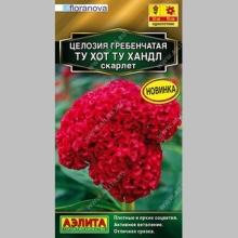 Целозия Ту Хот Ту Хандл Скарлет (гребенчатая) - Семена Тут
