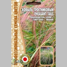 Ковыль Pheasant Tails тростниковый (большой пакет) - Семена Тут